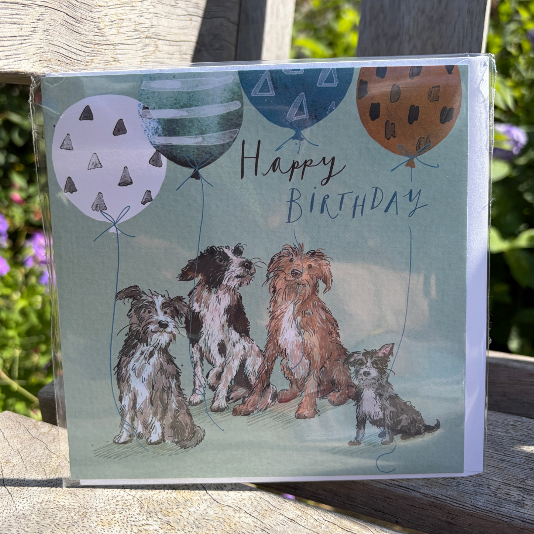 Furry Friends Single Birthday Card