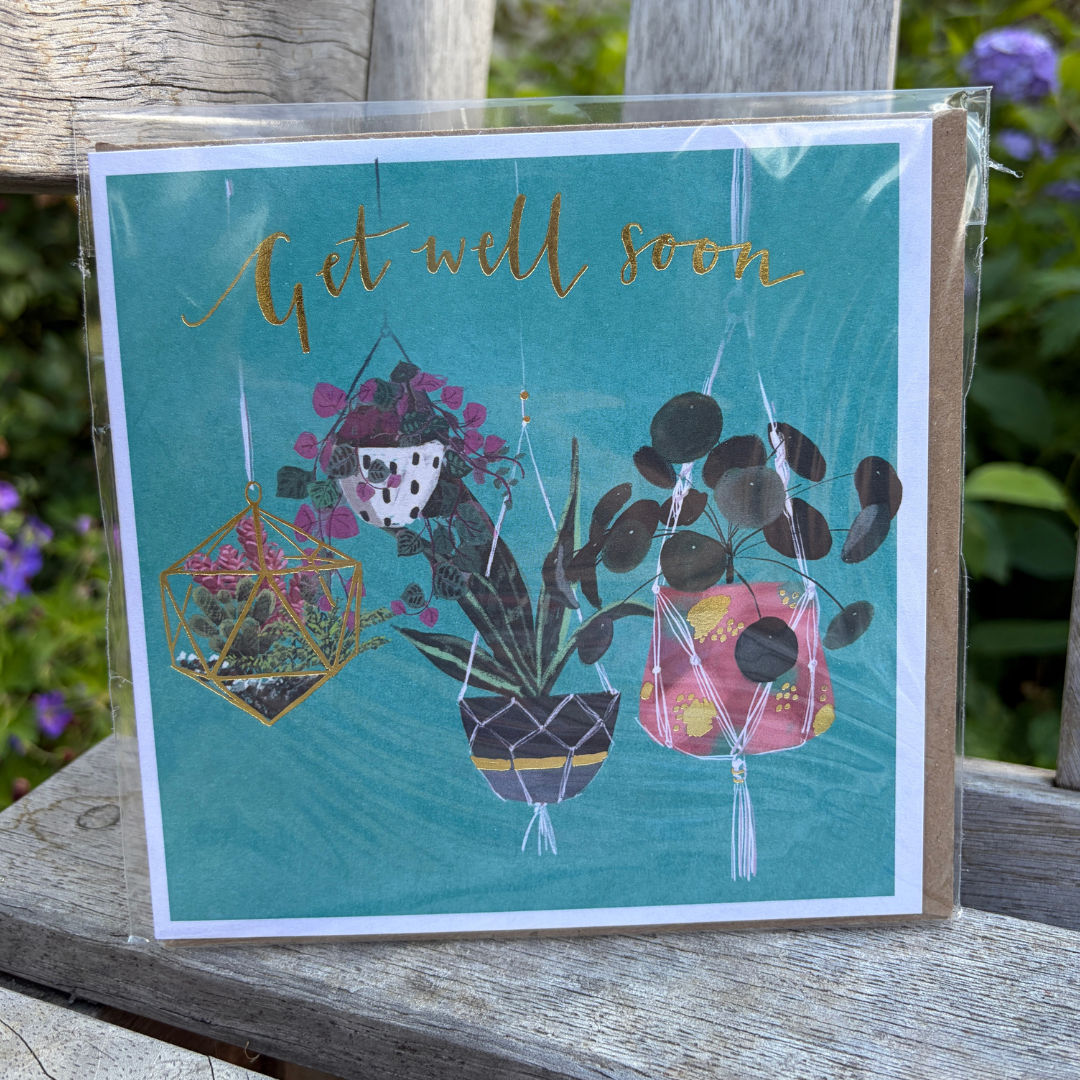 Hanging Plants Single Greeting Card
